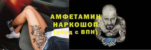 ешки Аркадак