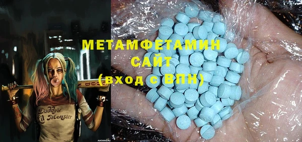 шишки Няндома