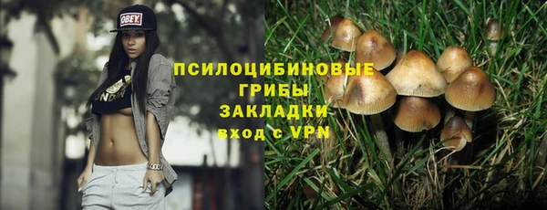 хмурый Балабаново