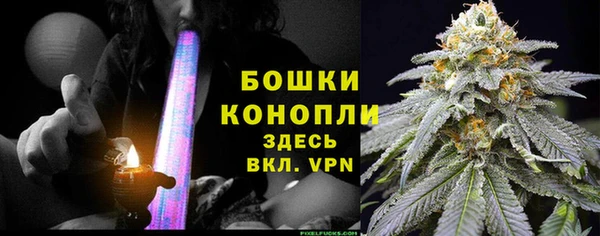 ешки Аркадак