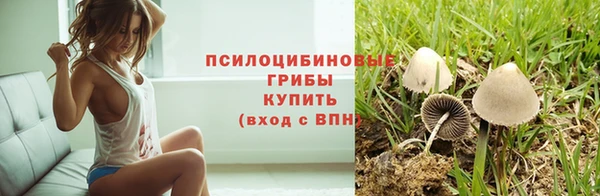 ешки Аркадак